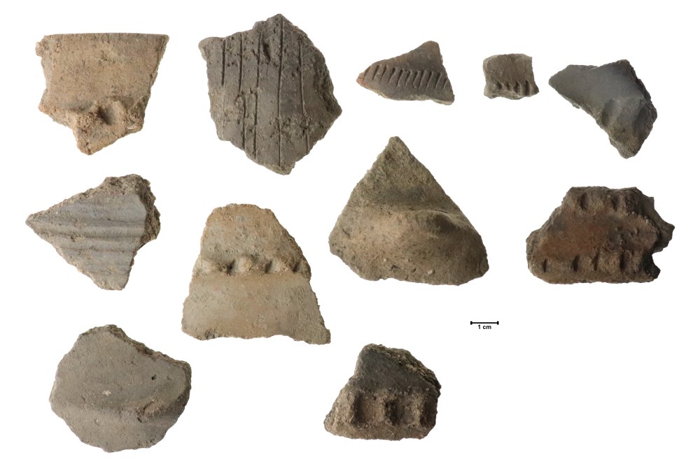 Výběr typických zlomků keramiky z archeologického výzkumu z let 2018-2019.